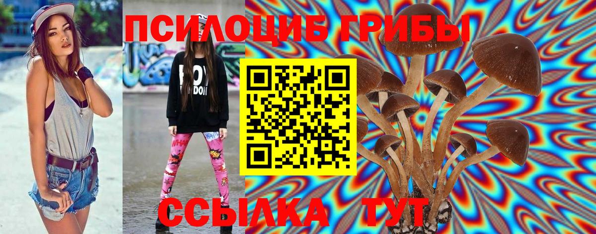Галлюциногенные грибы Cubensis  Вход с VPN  Балаково 